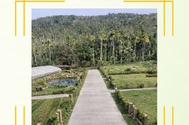 Poultry photo from Sahya Greens brochure